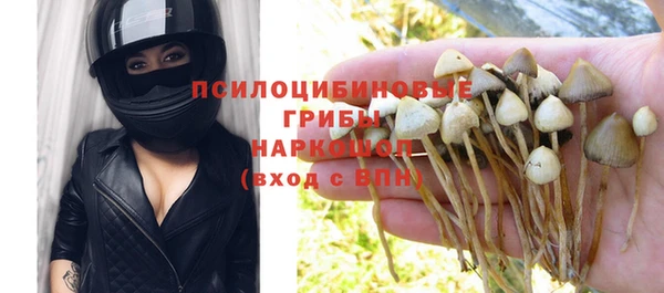 стаф Кулебаки