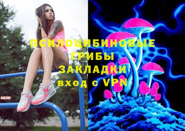 стаф Кулебаки
