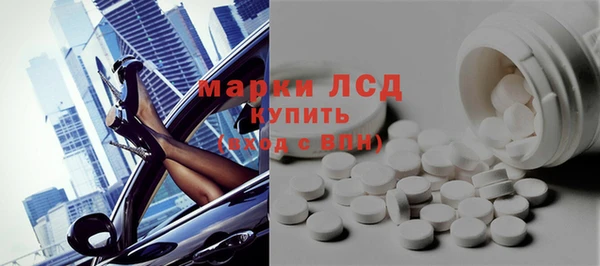 стаф Кулебаки