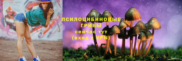 стаф Кулебаки