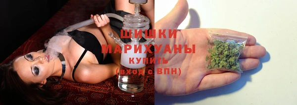 стаф Кулебаки