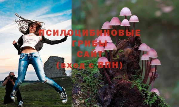 дмт Куйбышев
