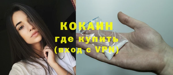 стаф Кулебаки