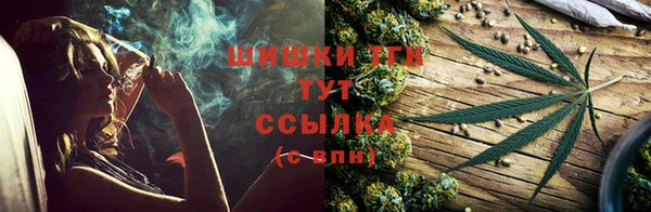 стаф Кулебаки