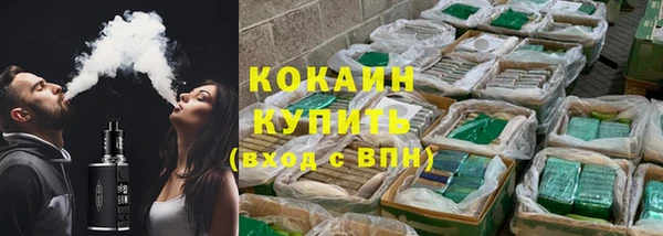 стаф Кулебаки