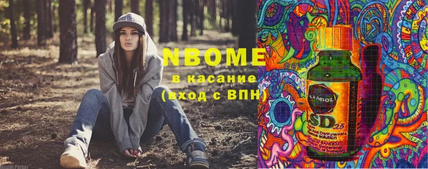 стаф Кулебаки